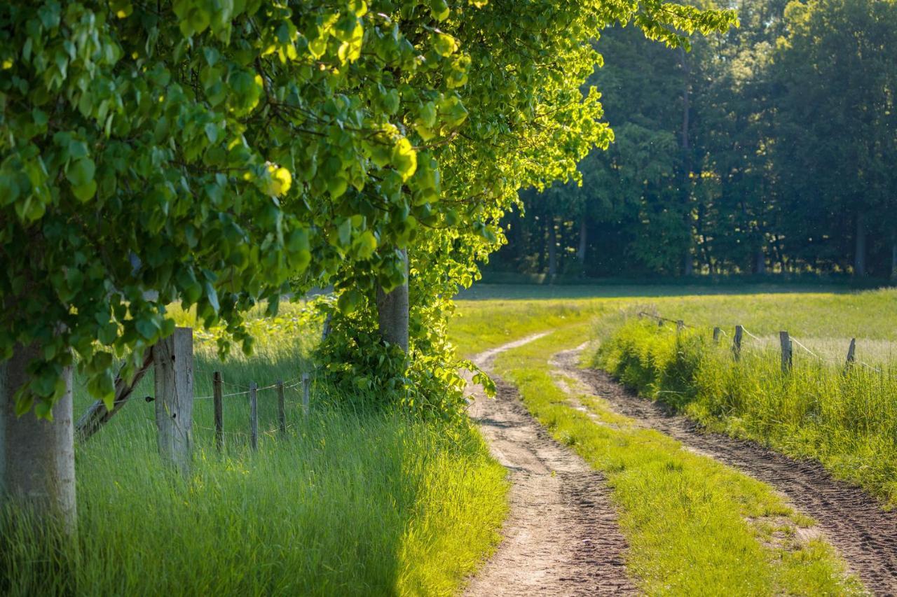 Modernes Landhaus Mit Sauna Hohen Pritz Zewnętrze zdjęcie